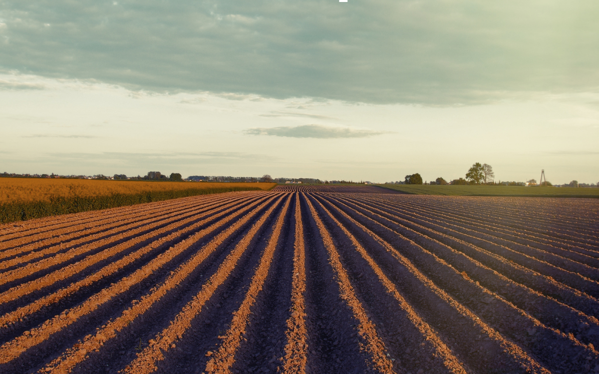 How CRP Programs Work and How to Enroll Your Land in Hugo, Oklahoma